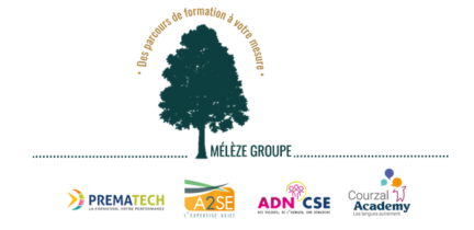 Mélèze Groupe